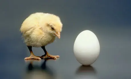The Chicken and the Egg