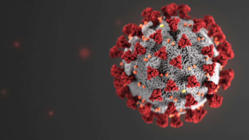 The Neoliberal Virus
